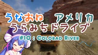 【The_Crew2】うなおねアメリカうらみちドライブ１０【Colorad River】