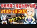 【韓国の反応】韓国政府が被害者に賠償をし、日本政府・企業は謝罪をし、反省しなければならない！【世界の〇〇にゅーす】
