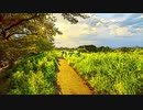 【AIきりたん】カテイ