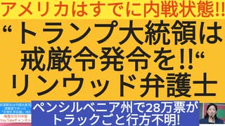 【YouTube不適切認定動画】#115アメリカはすでに内戦状態!!_“トランプ大統領は戒厳令発令を!!“リンウッド弁護士_ ペンシルベニア州で28万票がトラックごと行方不明! #大統領選#内戦#リンウッド弁護士#戒厳令