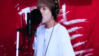 Way Back Home / SHAUN Japanese Lyric ver.  ( cover by SG )