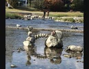風に聞け２０１２１０　Crazy - Patrick Patrikios
