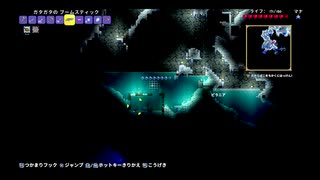 【PS4テラリア実況】中年BBAが女王気分で自分の国を作るそうですよ？４８