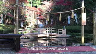 珍スポット　道の駅の池で生き物探し