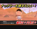 ポケモン剣盾　ナックラーを捕まえる方法！オススメの場所は？天気は？ポケモン図鑑コンプへの道！　【ポケモンソード・シールド】