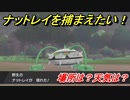 ポケモン剣盾　ナットレイを捕まえる方法！オススメの場所は？天気は？ポケモン図鑑コンプへの道！　【ポケモンソード・シールド】