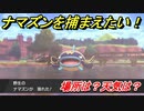 ポケモン剣盾　ナマズンを捕まえる方法！オススメの場所は？天気は？ポケモン図鑑コンプへの道！　【ポケモンソード・シールド】