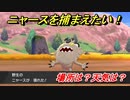 ポケモン剣盾　ニャースを捕まえる方法！オススメの場所は？天気は？ポケモン図鑑コンプへの道！　【ポケモンソード・シールド】