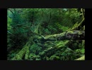 【作業用BGM】Indie Dance Mix 2