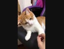 やはりここが好きである