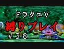 【ドラクエ5 縛りプレイ】王家の証を入手！当然出てくるあいつ。Part38【アルカリ性】