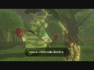 【ゆっくり実況プレイ】旅歩き part25【ゼルダの伝説ブレスオブザワイルド】