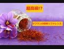 【スパイスを知ろう！】サフランを知ろう！【part12】