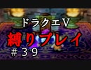 【ドラクエ5 縛りプレイ】連れ去られたビアンカを求めて…。あ、少しやらかした。Part39【アルカリ性】