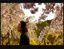 bias / "The Original Sin" Music Video