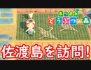 【あつまれ どうぶつの森】満員電車のない無人島で過ごすことにしました。part155