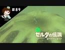 【実況】マスターモードでやりこみサバイバル生活！！　Part89 【ゼルダの伝説　BotW】
