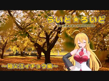 【ロードバイク車載】らいど★ろいど ～祖父江イチョウ編～【VOICEROID車載】