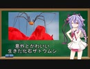 【VOICEROID解説】鳴花ミコトの一口解説:生きた化石ザトウムシ