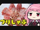 【ブリしゃぶ】「茜ちゃんが美味いと思うまで」RTA ??:??:?? WR