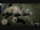 Red Dead Redemption 2やったときの61
