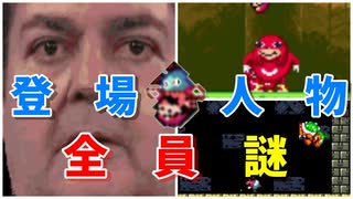 【誰？】マリオの世界観を無視して変なおじさんが出てくるバグって頭がおかしくなったマリオワールド！vol4