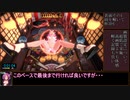 芸妓玉RTA R-18_3Dピンボール [8:46]