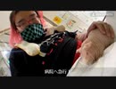 【野田草履P】アニマルセラピーに来ていた模様。【ツイキャス】