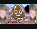 楠栞桜うんち説