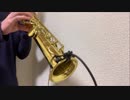 【演奏してみた】キレキャリオン / ポリスピカデリー （IMO Cover）