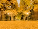 風に聞け２０１２１２　Only Farwell - Dan Lebowitz