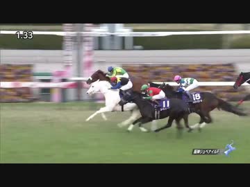 2020年12月13日 阪神JF 白毛馬初ＧⅠ制覇なるか？！