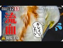 1213【コサギが流血。血に染まる羽】カワセミ飛び込み捕食や交尾失敗ヒドリガモ求愛、ジョウビタキにオカヨシガモ【 #今日撮り野鳥動画まとめ 】 #身近な生き物語