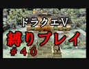 【ドラクエ5 縛りプレイ】石像になって動けません…。Part40【アルカリ性】