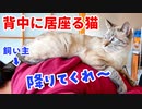 背中に乗ってきた猫がくつろぎ始めちゃったんですけど…(泣)
