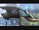 【実況】思い出の神ゲーやっていくよ part10【MH3G/HD】