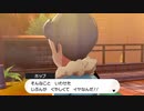 ポケモン剣VS盾VSバランス 実況プレイPart21