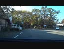【オリジナル車載動画】千本浜公園へ行く【沼津】