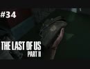 【実況】復讐者になるゲーム【The Last of Us Part II】Part34
