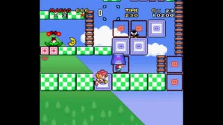 マリオとワリオ in マリオワールド【模倣マリオ】