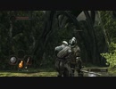 【DARK SOULS Ⅱ SCHOLAR OF THE FIRST SIN】-絶望を焚べよ-　１週目を普通に攻略　～其の２～【ダクソ２】