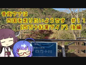 【ロードバイク車載】音街ウナは四国を走りたいようです #11【四万十紅葉ライド】