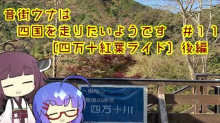 【ロードバイク車載】音街ウナは四国を走りたいようです #11【四万十紅葉ライド】