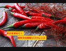【スパイスを知ろう！】唐辛子を知ろう！【part13】