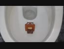 クリボーをトイレに流してみた