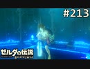 【実況】#213:ゼルダの伝説 ブレスオブザワイルド 初見実況プレイ【剣の試練】