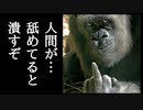 【Wows】チ　ー　ム　赤　猿　の　逆　襲【Smaland】