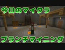 【今日のマインクラフト#2】～ブランチマイニング～【Minecraft】