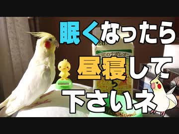 一緒に日向ぼっこしませんか？