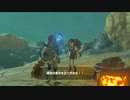 【ゆっくり実況】　ゼルダの伝説BotW　#41